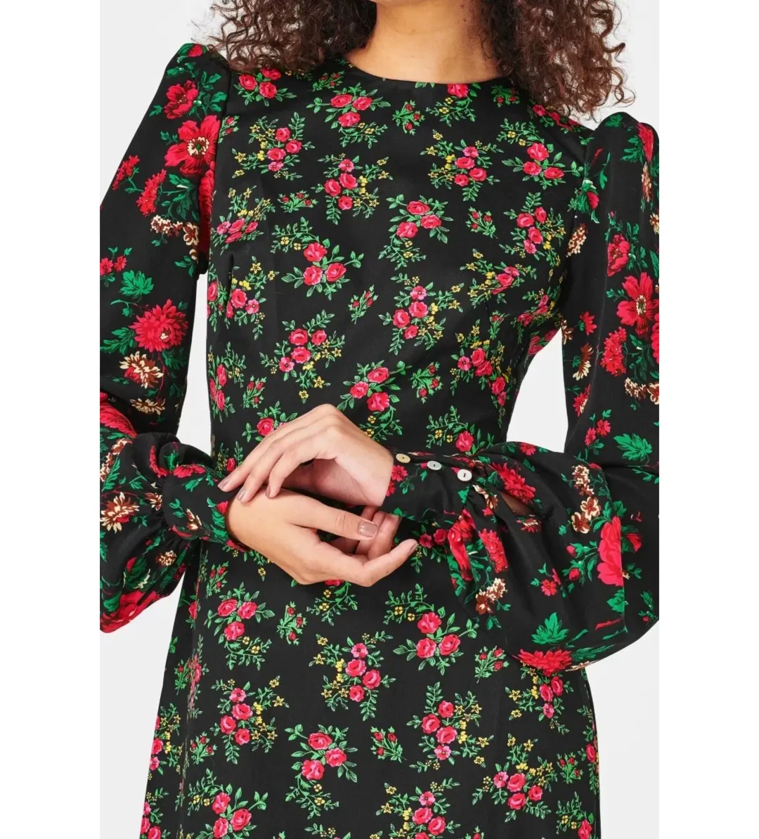 The Vampire's Wife Villanelle Rose Dress Black Size 8 for rent on The Volte - main image