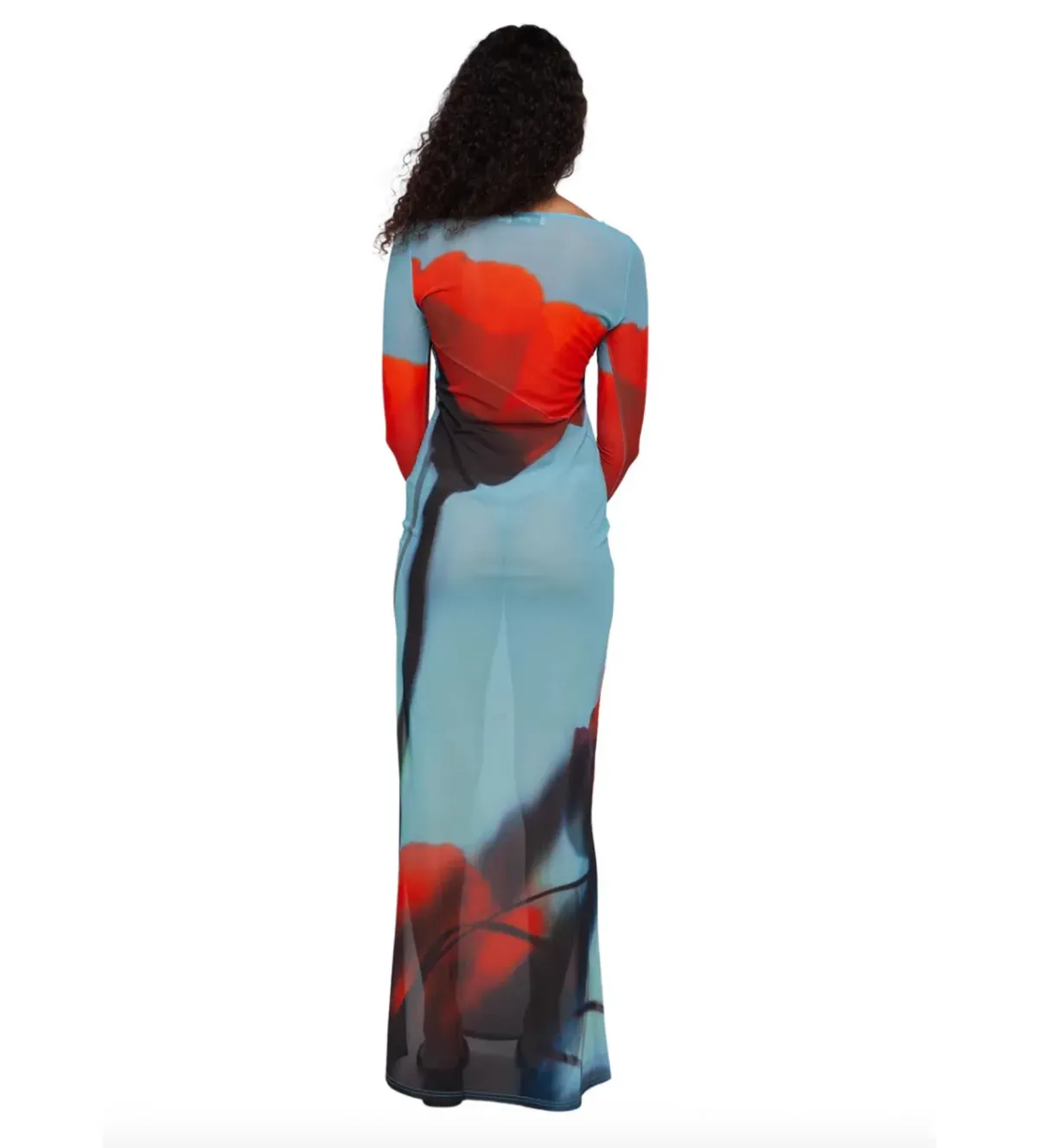 Rat & Boa Santino Sheer Maxi Dress in  blue with a fiery red tulip print Size UK 12 - Image 5