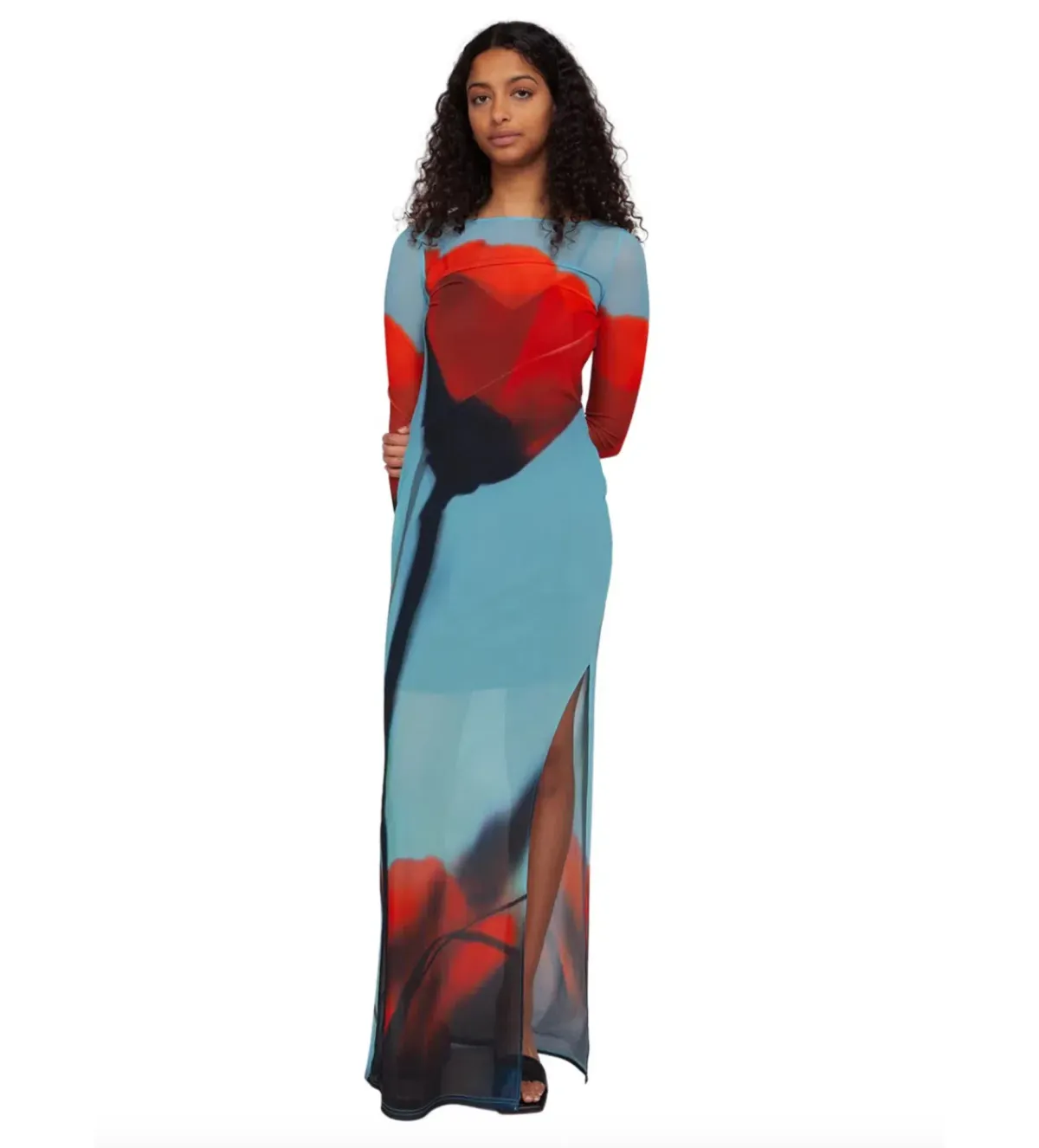 Rat & Boa Santino Sheer Maxi Dress in  blue with a fiery red tulip print Size UK 12 - Image 4